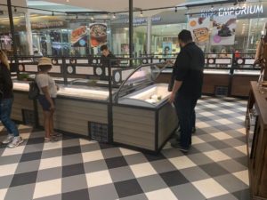 Next Generation Line 401 - Commercial freezer chest