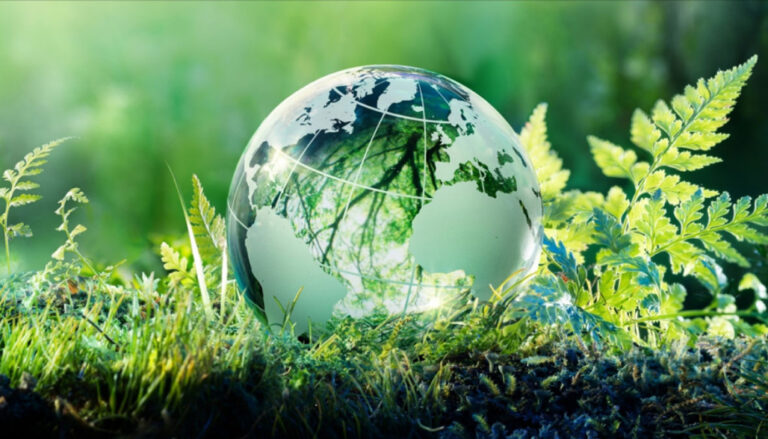 Why Choose Novum: Environmental