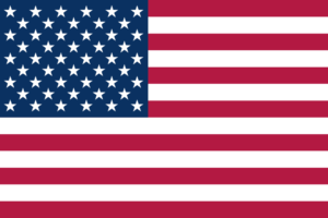 USA flag for Novum USA projects