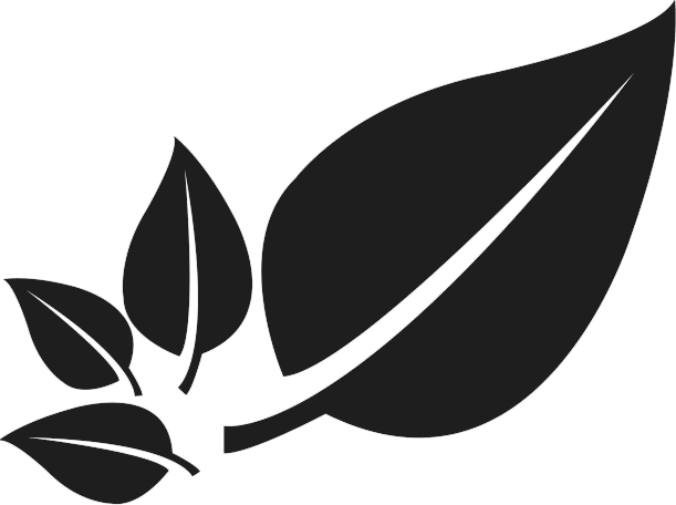 Leaf Background