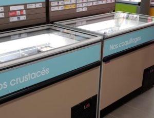 Next Generation Line 410 - commercial freezer